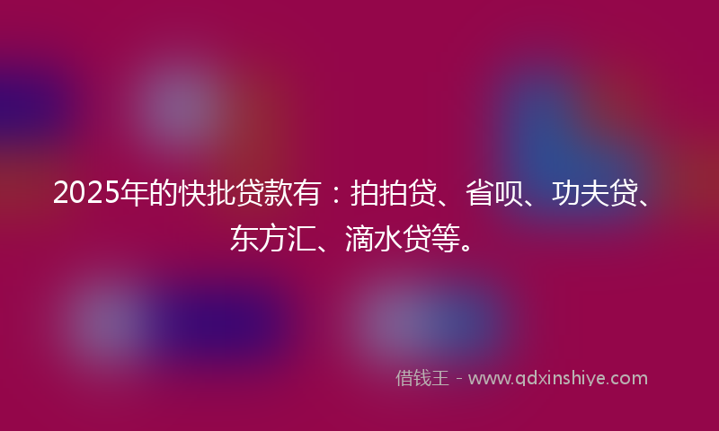 2025年的快批贷款有：拍拍贷、省呗、功夫贷、东方汇、滴水贷等。