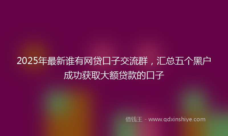 2025年最新谁有网贷口子交流群，汇总五个黑户成功获取大额贷款的口子