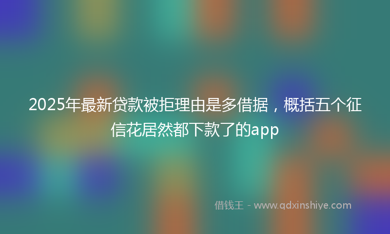 2025年最新贷款被拒理由是多借据，概括五个征信花居然都下款了的app