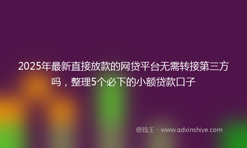2025年最新直接放款的网贷平台无需转接第三方吗，整理5个必下的小额贷款口子