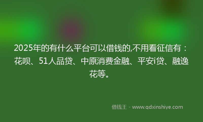 2025年的有什么平台可以借钱的,不用看征信有：花呗、51人品贷、中原消费金融、平安i贷、融逸花等。