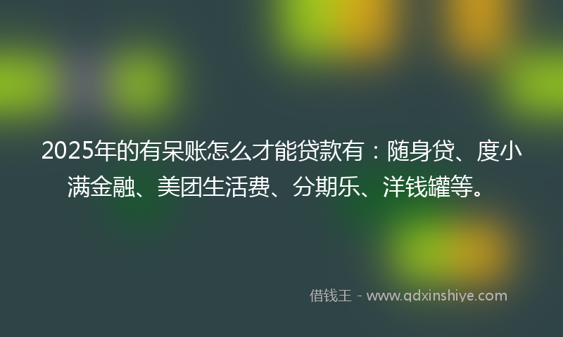 2025年的有呆账怎么才能贷款有：随身贷、度小满金融、美团生活费、分期乐、洋钱罐等。