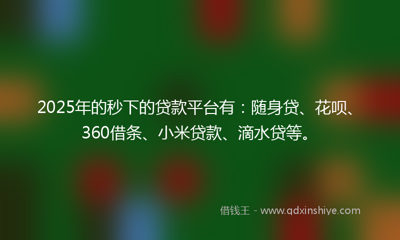 2025年的秒下的贷款平台有：随身贷、花呗、360借条、小米贷款、滴水贷等。