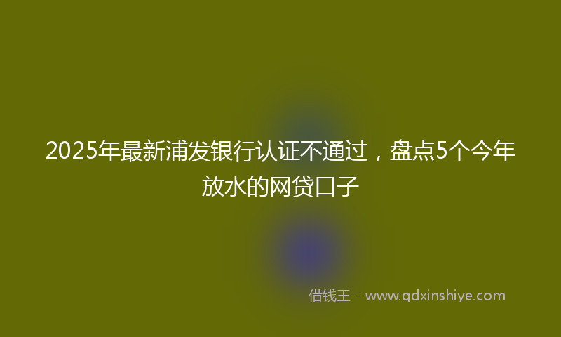 2025年最新浦发银行认证不通过，盘点5个今年放水的网贷口子