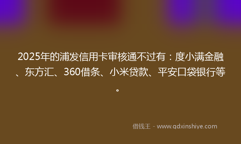2025年的浦发信用卡审核通不过有：度小满金融、东方汇、360借条、小米贷款、平安口袋银行等。
