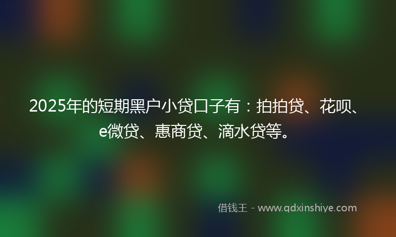 2025年的短期黑户小贷口子有：拍拍贷、花呗、e微贷、惠商贷、滴水贷等。