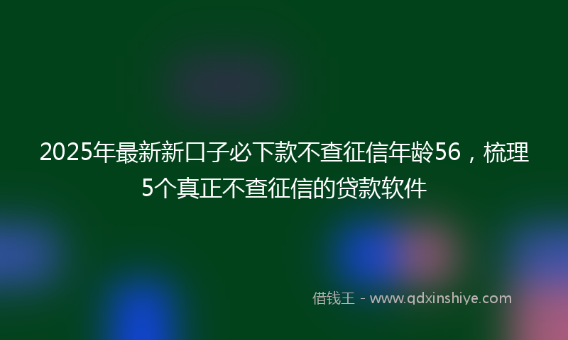 2025年最新新口子必下款不查征信年龄56，梳理5个真正不查征信的贷款软件
