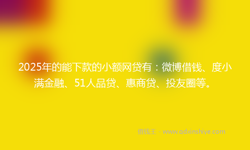 2025年的能下款的小额网贷有：微博借钱、度小满金融、51人品贷、惠商贷、投友圈等。