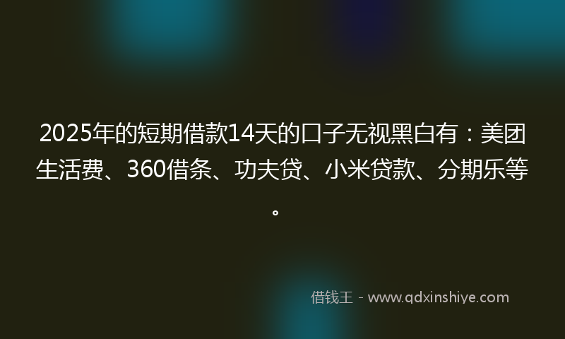 2025年的短期借款14天的口子无视黑白有：美团生活费、360借条、功夫贷、小米贷款、分期乐等。