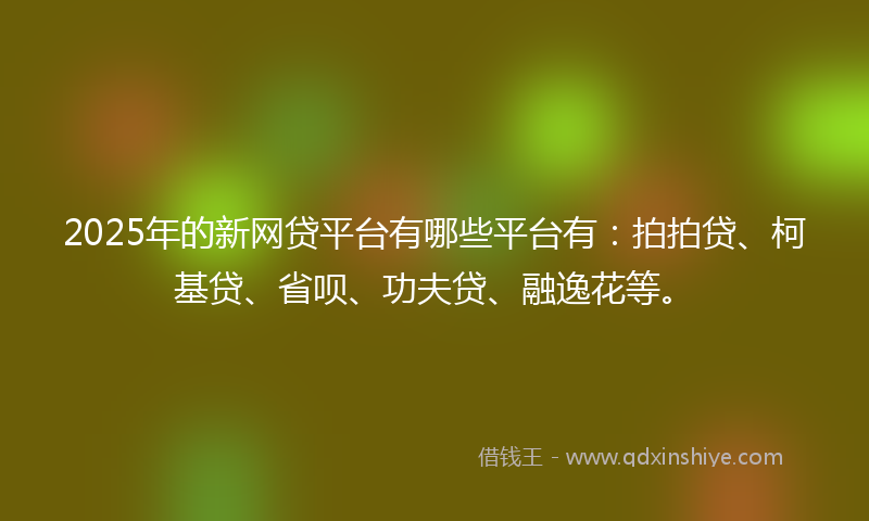 2025年的新网贷平台有哪些平台有：拍拍贷、柯基贷、省呗、功夫贷、融逸花等。