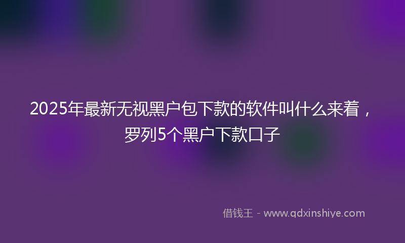 2025年最新无视黑户包下款的软件叫什么来着，罗列5个黑户下款口子