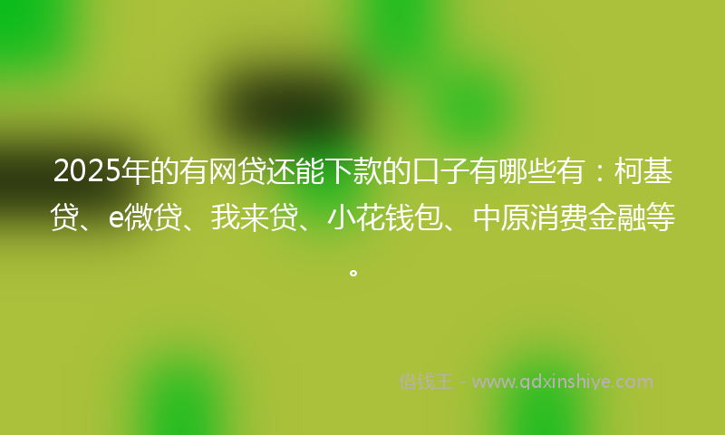 2025年的有网贷还能下款的口子有哪些有：柯基贷、e微贷、我来贷、小花钱包、中原消费金融等。