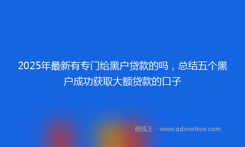 2025年最新有专门给黑户贷款的吗，总结五个黑户成功获取大额贷款的口子