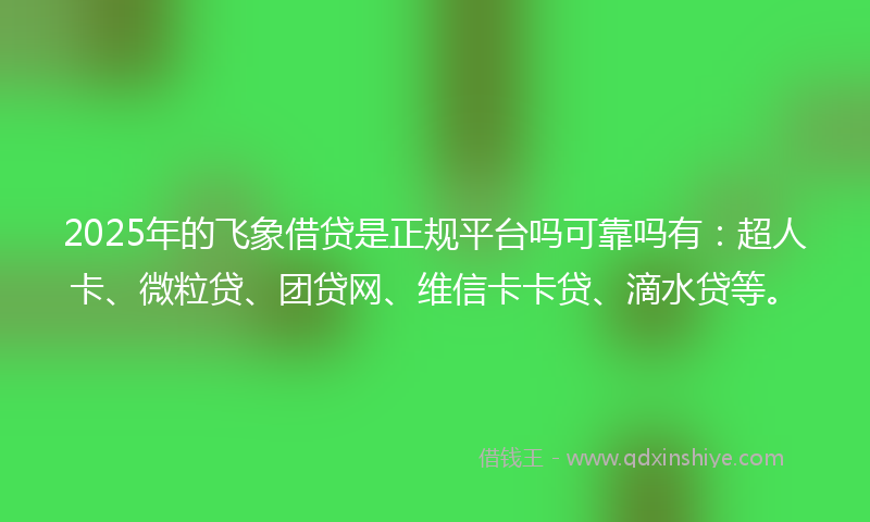 2025年的飞象借贷是正规平台吗可靠吗有：超人卡、微粒贷、团贷网、维信卡卡贷、滴水贷等。