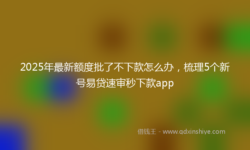 2025年最新额度批了不下款怎么办，梳理5个新号易贷速审秒下款app