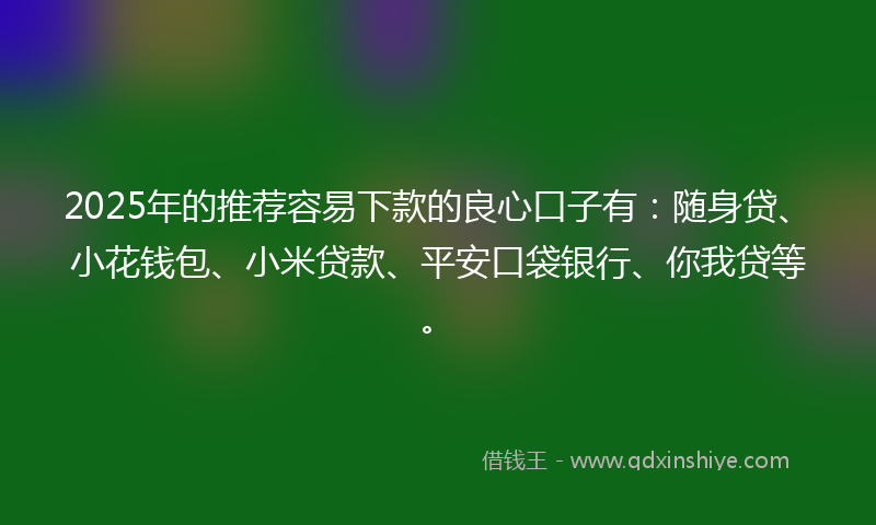 2025年的推荐容易下款的良心口子有：随身贷、小花钱包、小米贷款、平安口袋银行、你我贷等。