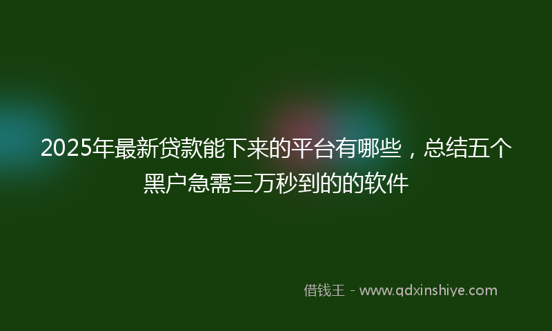 2025年最新贷款能下来的平台有哪些，总结五个黑户急需三万秒到的的软件