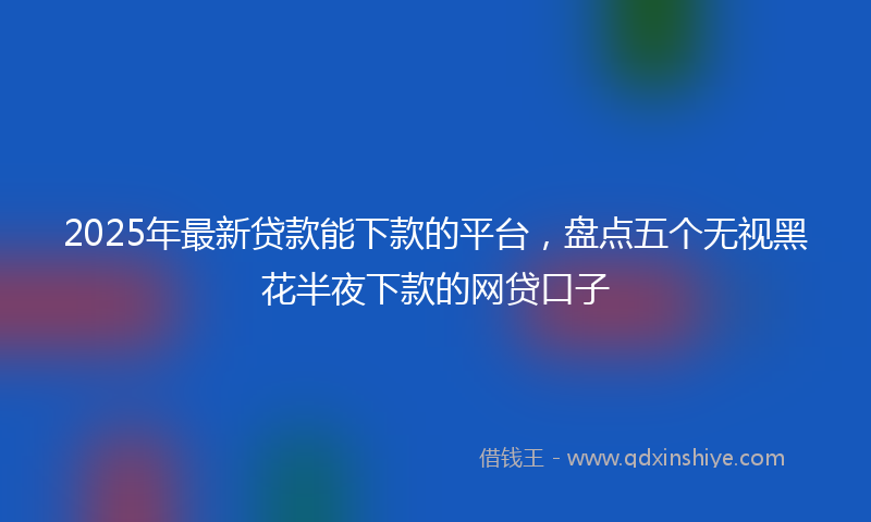 2025年最新贷款能下款的平台，盘点五个无视黑花半夜下款的网贷口子