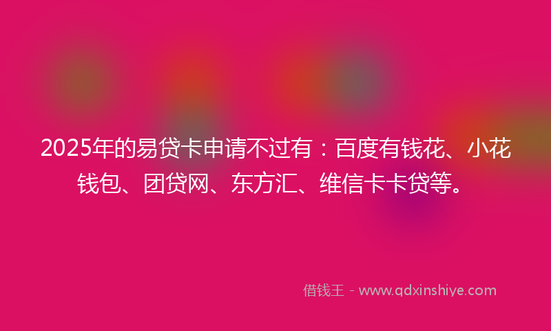 2025年的易贷卡申请不过有：百度有钱花、小花钱包、团贷网、东方汇、维信卡卡贷等。