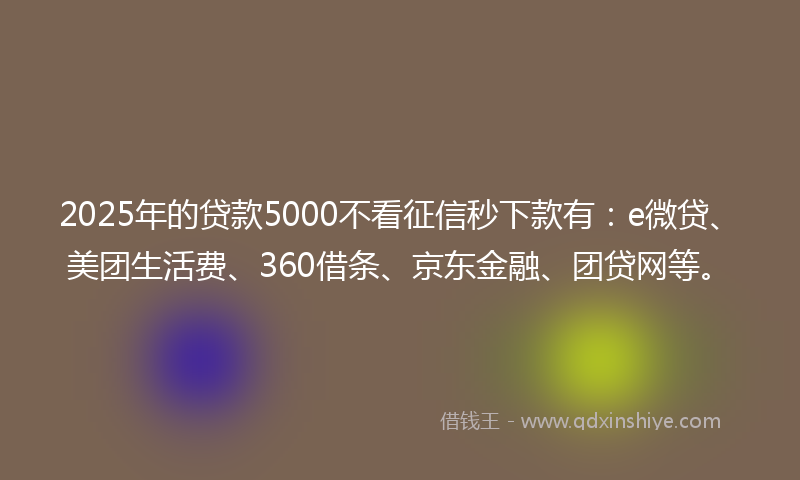 2025年的贷款5000不看征信秒下款有：e微贷、美团生活费、360借条、京东金融、团贷网等。