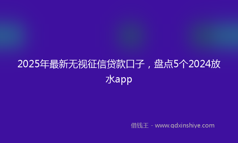2025年最新无视征信贷款口子，盘点5个2024放水app