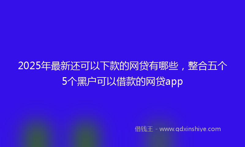 2025年最新还可以下款的网贷有哪些，整合五个5个黑户可以借款的网贷app