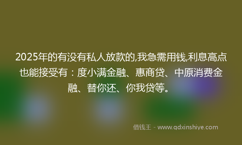 2025年的有没有私人放款的,我急需用钱,利息高点也能接受有：度小满金融、惠商贷、中原消费金融、替你还、你我贷等。