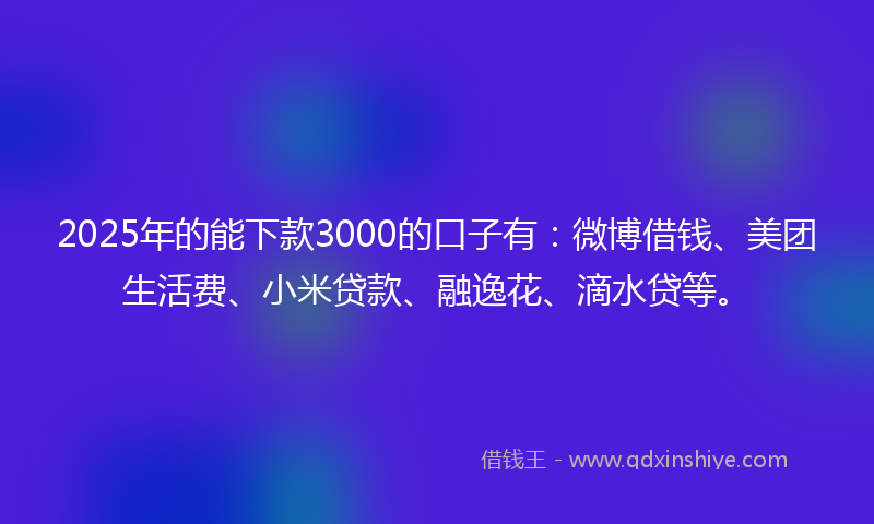 2025年的能下款3000的口子有:微博借钱、美团生活费、小米贷款、融逸花、滴水贷等。