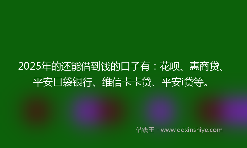 2025年的还能借到钱的口子有：花呗、惠商贷、平安口袋银行、维信卡卡贷、平安i贷等。