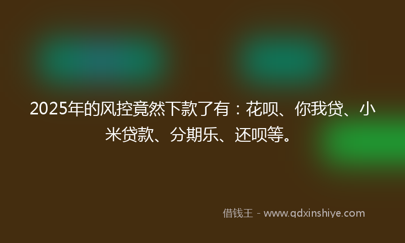 2025年的风控竟然下款了有：花呗、你我贷、小米贷款、分期乐、还呗等。