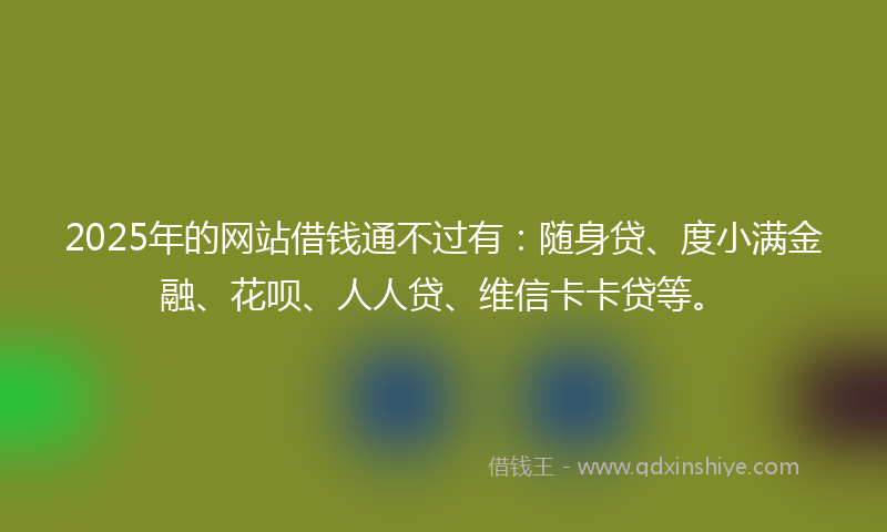 2025年的网站借钱通不过有：随身贷、度小满金融、花呗、人人贷、维信卡卡贷等。