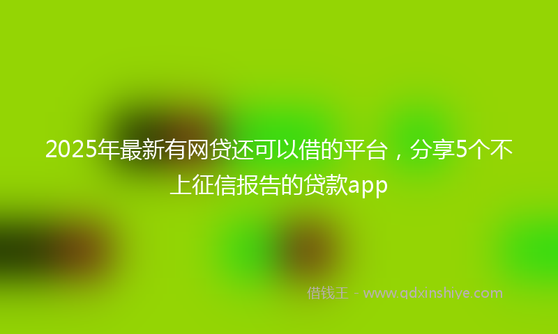 2025年最新有网贷还可以借的平台，分享5个不上征信报告的贷款app