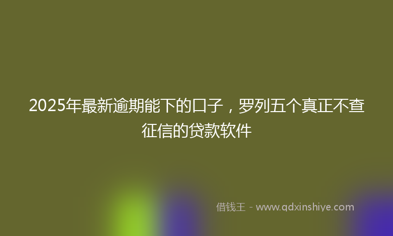 2025年最新逾期能下的口子，罗列五个真正不查征信的贷款软件