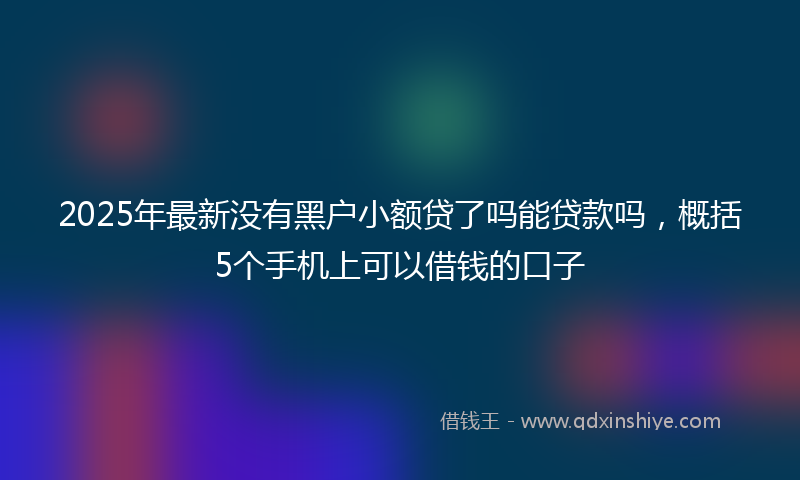 2025年最新没有黑户小额贷了吗能贷款吗，概括5个手机上可以借钱的口子