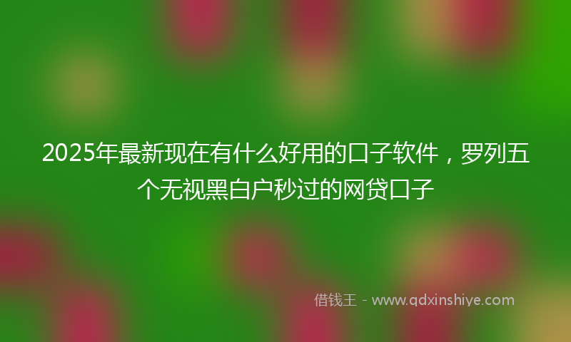 2025年最新现在有什么好用的口子软件，罗列五个无视黑白户秒过的网贷口子