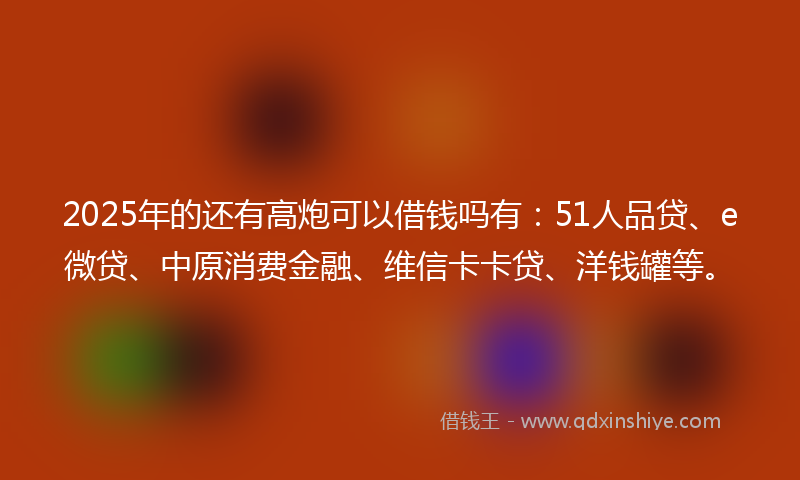2025年的还有高炮可以借钱吗有：51人品贷、e微贷、中原消费金融、维信卡卡贷、洋钱罐等。