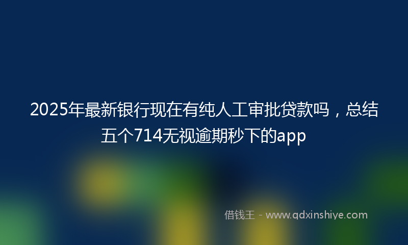 2025年最新银行现在有纯人工审批贷款吗，总结五个714无视逾期秒下的app