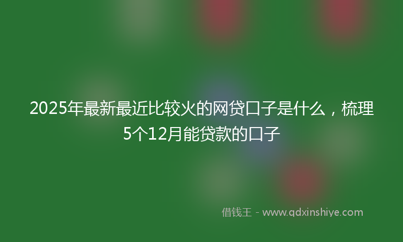 2025年最新最近比较火的网贷口子是什么，梳理5个12月能贷款的口子