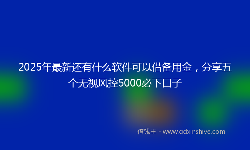 2025年最新还有什么软件可以借备用金，分享五个无视风控5000必下口子