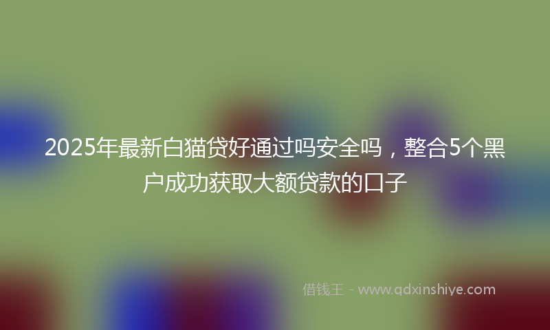 2025年最新白猫贷好通过吗安全吗，整合5个黑户成功获取大额贷款的口子