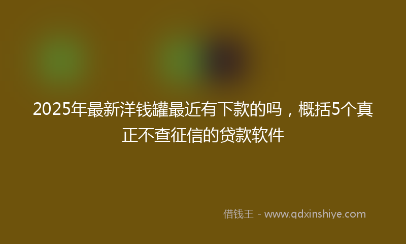 2025年最新洋钱罐最近有下款的吗，概括5个真正不查征信的贷款软件