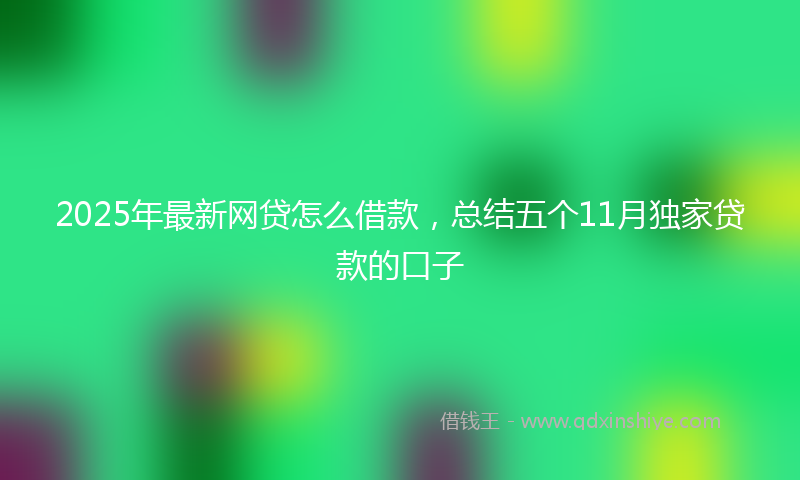 2025年最新网贷怎么借款，总结五个11月独家贷款的口子