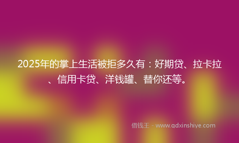 2025年的掌上生活被拒多久有：好期贷、拉卡拉、信用卡贷、洋钱罐、替你还等。