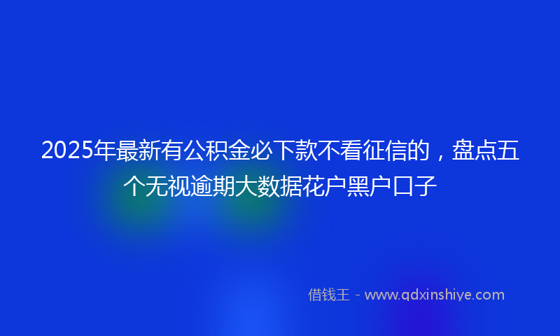 2025年最新有公积金必下款不看征信的，盘点五个无视逾期大数据花户黑户口子