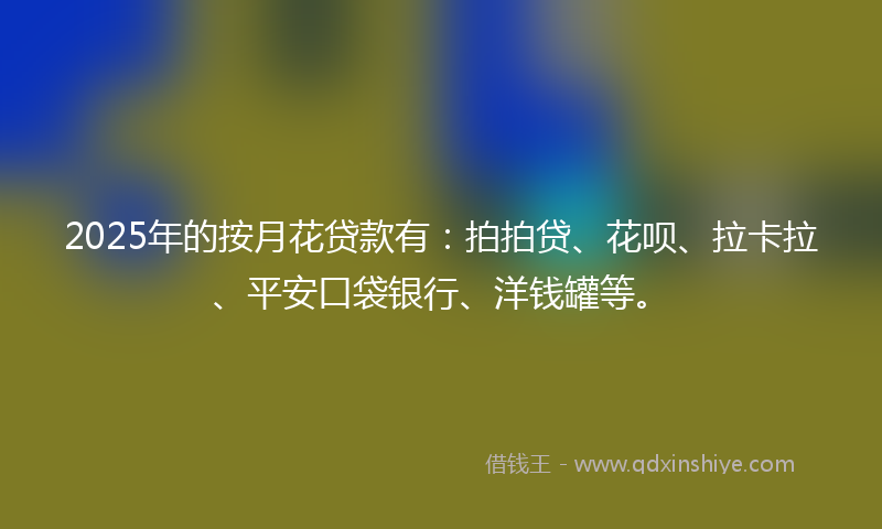 2025年的按月花贷款有：拍拍贷、花呗、拉卡拉、平安口袋银行、洋钱罐等。
