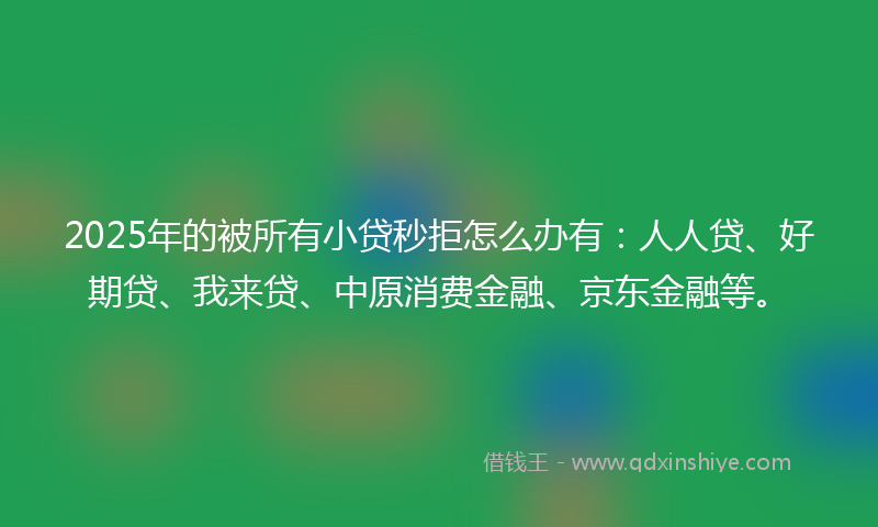 2025年的被所有小贷秒拒怎么办有：人人贷、好期贷、我来贷、中原消费金融、京东金融等。