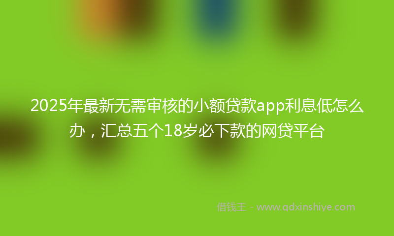 2025年最新无需审核的小额贷款app利息低怎么办，汇总五个18岁必下款的网贷平台