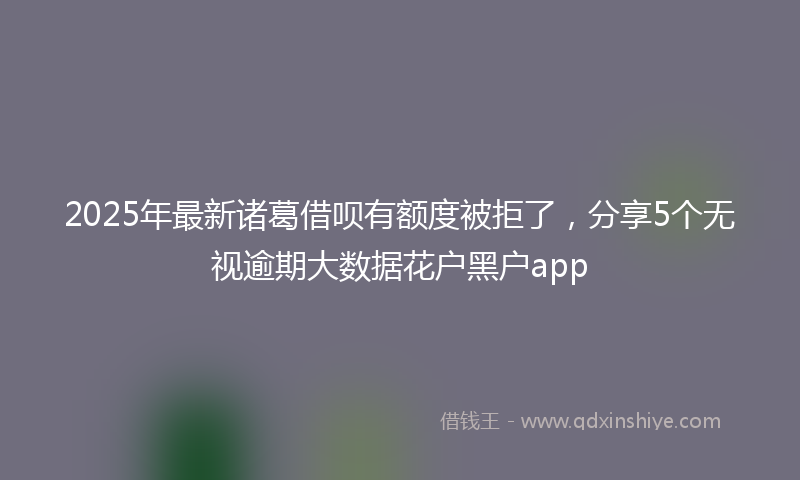 2025年最新诸葛借呗有额度被拒了，分享5个无视逾期大数据花户黑户app
