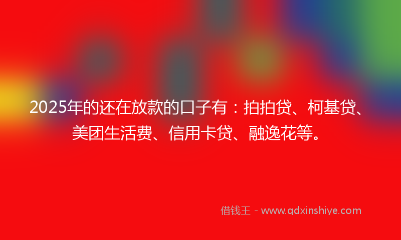 2025年的还在放款的口子有：拍拍贷、柯基贷、美团生活费、信用卡贷、融逸花等。