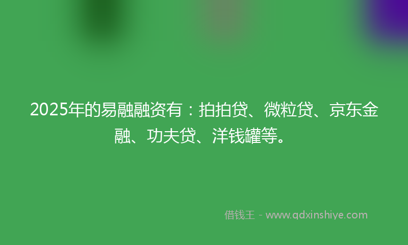 2025年的易融融资有：拍拍贷、微粒贷、京东金融、功夫贷、洋钱罐等。